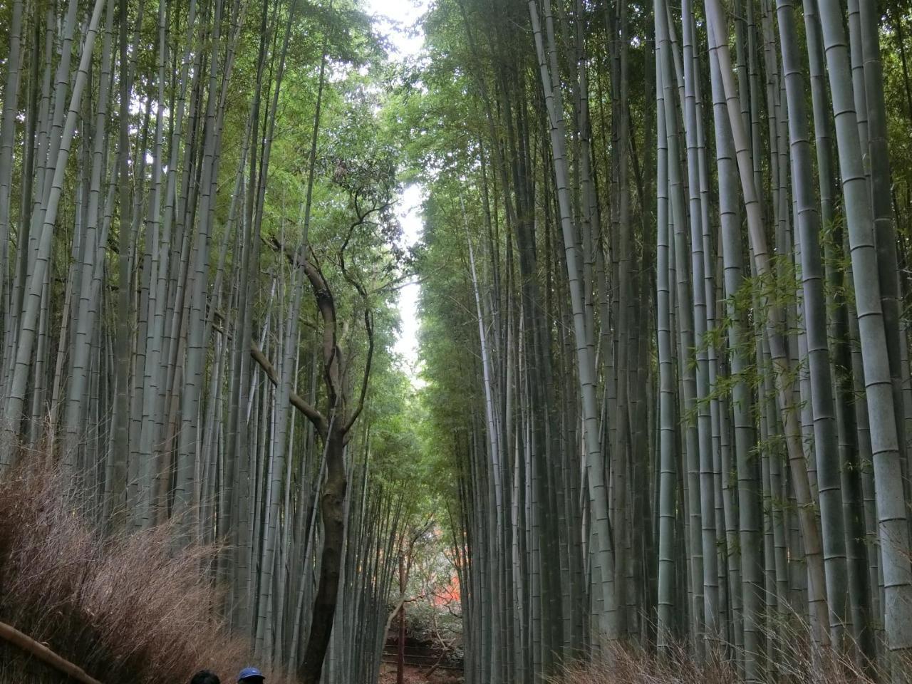 Villa Kawasemi An Kyōto Esterno foto